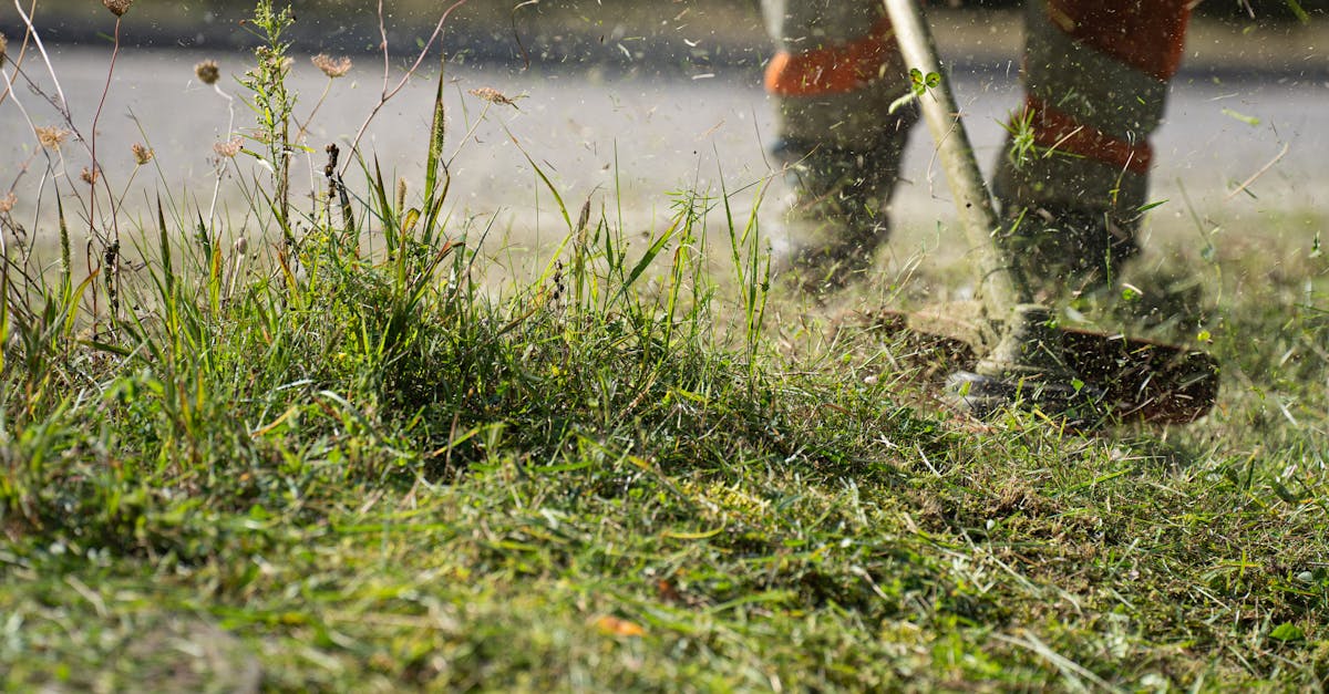 Grass Maintenance